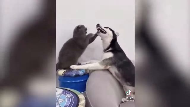 Анна Щербакова 90 секунд челлендж. Anna Shcherbakova 90 seconds challenge. смотреть онлайн