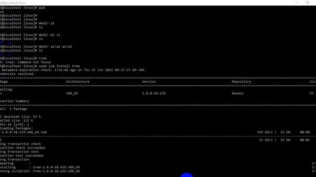 How to fix bash tree command not found in Linux Server смотреть онлайн