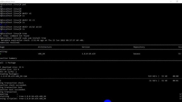 How to fix bash tree command not found in Linux Server