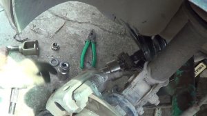 пыльник шруса из г -на ока