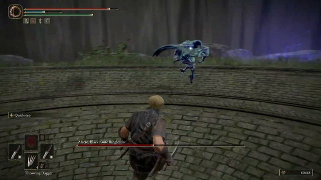 Elden Ring: vs Black Knife Ringleader Alecto (Dual Daggers) смотреть онлайн