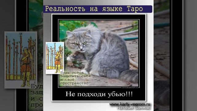 Весёлый способ запомнить значение карт Таро 35 смотреть онлайн
