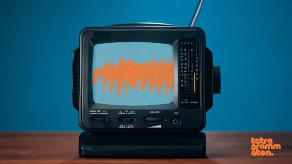 Andrew Huberman, Ph.D.