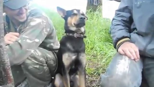 Граф Собака засыпака смотреть онлайн