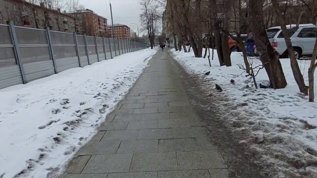 Едем на игру в Ледовый Дворец 