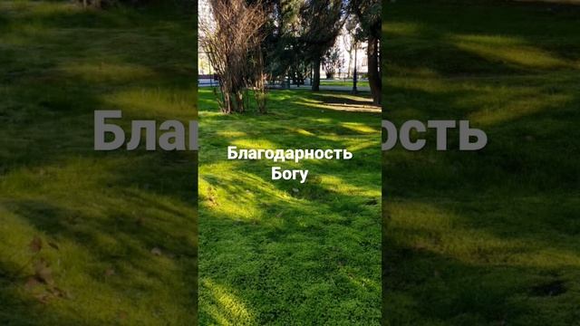 Победить уныние благодарностью . #мудрость#наставление#православие смотреть онлайн