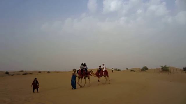 DUBAI катание на верблюде в пустыни смотреть онлайн