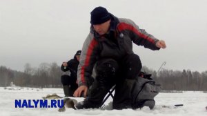 Ловля судака на бокоплав. Как играть бокоплавом.