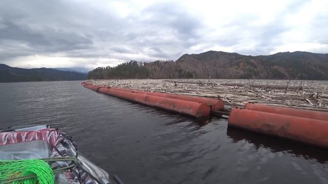 Сейчас я вам кое-что покажу... смотреть онлайн