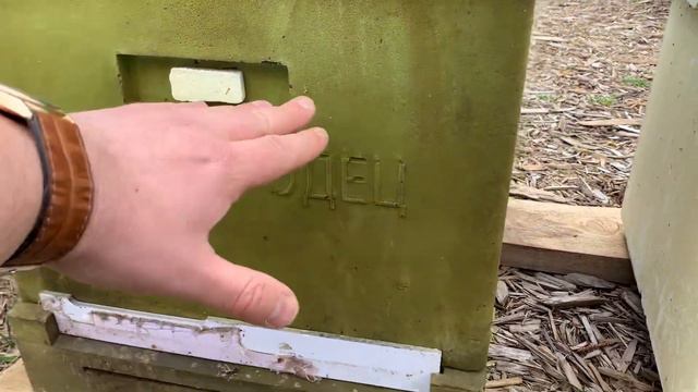 В какой комплектации покупать пчел? Пчелиные семьи(СуперБи), 6 рамочный и 4 рамочный пчелопакет смотреть онлайн
