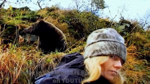 Grizzly Man The Timothy Treadwell Tragedy. Full video  (This video contains graphic content)