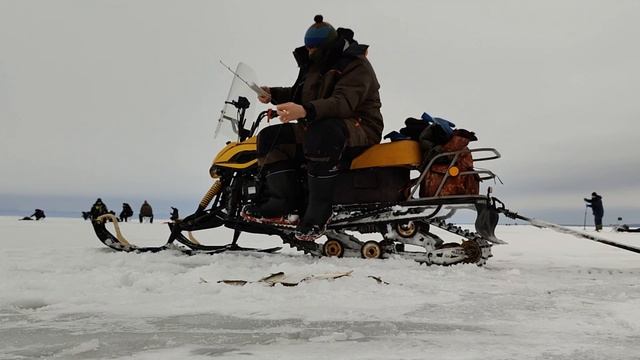 Рыбалка в марте. Корюшка пошла. Клюёт на ура.... смотреть онлайн