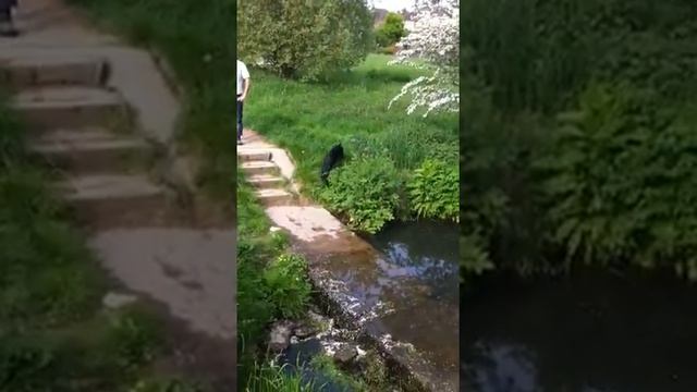 Zeus run around смотреть онлайн
