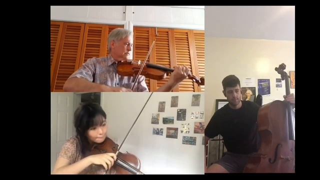 #15 Music&Friends Online Project with Todd Phillips - Vivaldi Concerto for 2 violins and cello,mvt. смотреть онлайн