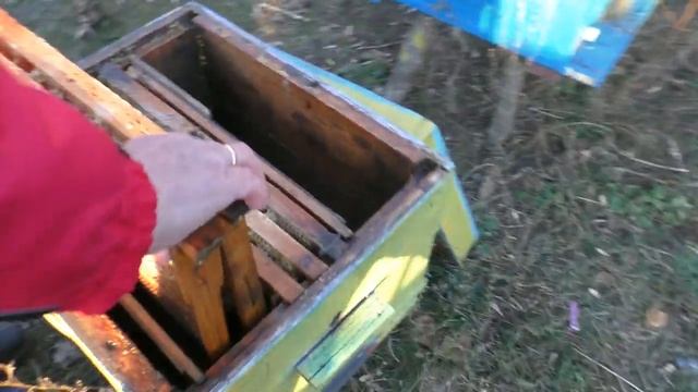 Как сделать объединение слабых семей (отводков) на зиму? смотреть онлайн