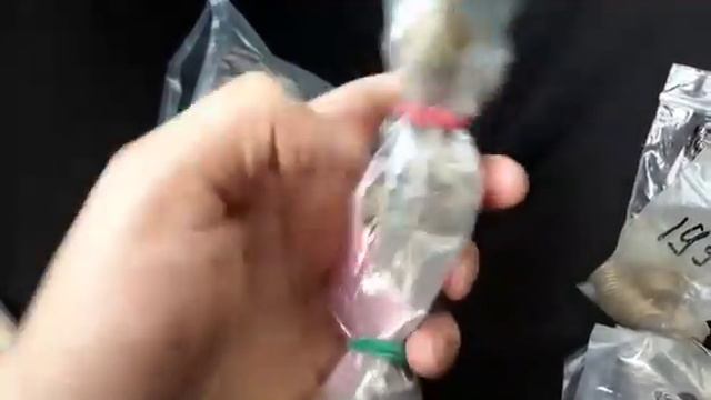 Купил редкие монеты украины в Днепре смотреть онлайн