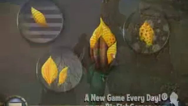 Botanica Into the Unknown Collector's Edition смотреть онлайн