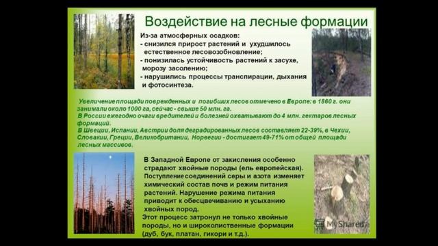 Как работает Природа - Основы! / Позновательное видео обязательно к просмотру смотреть онлайн