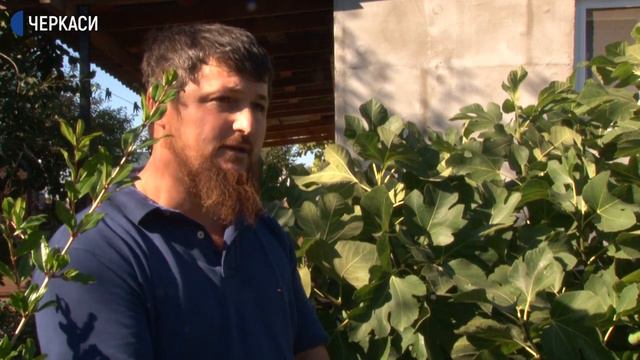 Кримський інжир прижився на Черкащині смотреть онлайн