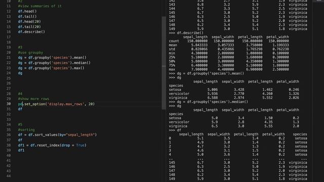Learn Pandas in 67.001 Seconds смотреть онлайн