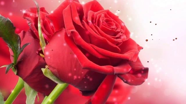 Дуже гарне привітання з Днем Народження)))) смотреть онлайн