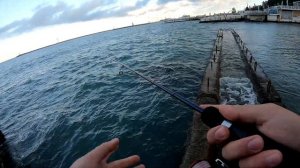 Yamaga Blanks BlueCurrent III BLC-69🎣 «Сухарь» ловит все