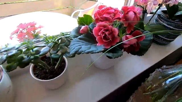 ДОЛГОЖДАННЫЙ ПОДАРОК ? ОТ МУЖА НАКОНЕЦ Я ЕГО ПОЛУЧИЛА АЙФОН 11 ПРО МАКС OLGA KIRCHGESSNER смотреть онлайн