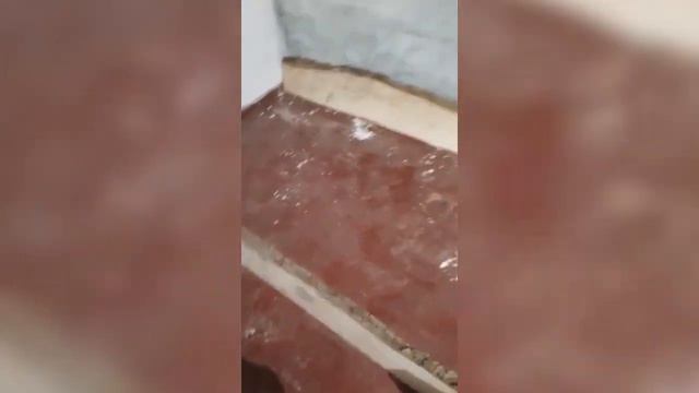 #Бизнес😱/Город Павлодар,Выращивание Красного Калифорнийского Червя.#Биогумус #Черви #Рыбалка смотреть онлайн