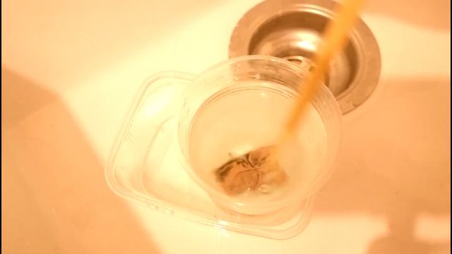 Простой электретный стерео микрофон своими руками, микрофон для компьютера, с усилителем. DIY. смотреть онлайн