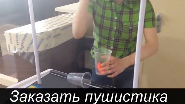 пушистик байла фото смотреть онлайн