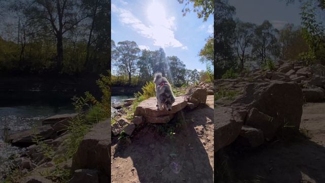 Красота в красоте смотреть онлайн