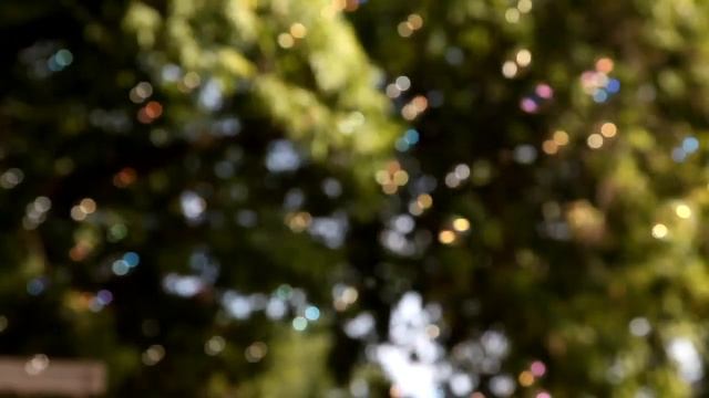 Kensington Market in Toronto - Ontario, Canada смотреть онлайн