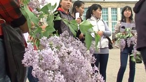 Документальный фильм «Похищение невест»