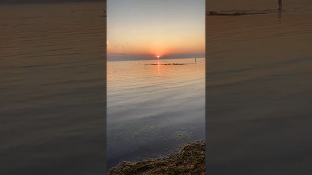 Восход солнца на Азовском море, Украине.22.07.20.Sunrise on Azov Sea (22.07.20) смотреть онлайн