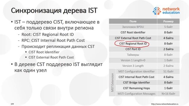 Протокол Spanning Tree - MST. смотреть онлайн