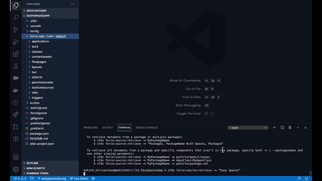 Successfully Retrieve Org Metadata Using Salesforce CLI and Packages | Developer Quick Takes смотреть онлайн