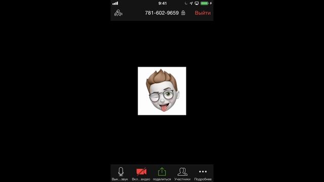 Подключение к Zoom конференции в приложении для iOS c iPhone и iPad. смотреть онлайн