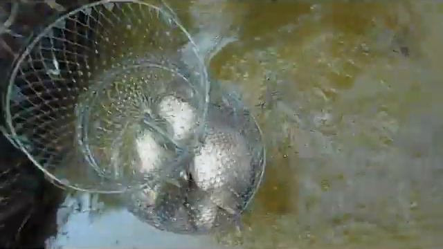 Азовы лето 2013 смотреть онлайн