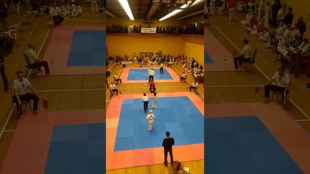 Международное первенство по Киокушинкай-кан каратэ- до в разделе кумитэ "Сакура над Сожем" в Гомеле смотреть онлайн