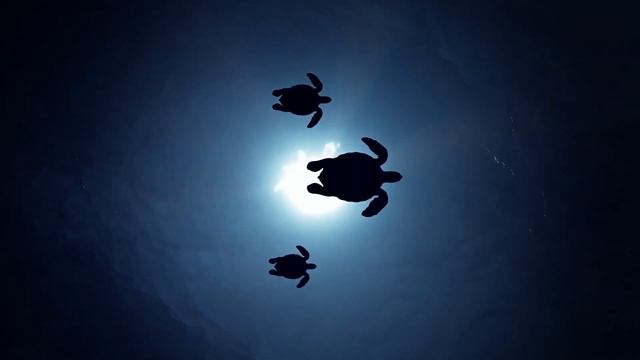 528 Гц Сигнал к исцелению ДНК. Позитивная настройка организма, исцеляющая частота звуков смотреть онлайн