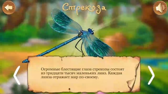 Насекомые для детей. Первая Энциклопедия. Развивающий мультик смотреть онлайн