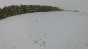 Охота на зайца 2019.Охота в Ставропольском крае.Зайца в достатке.