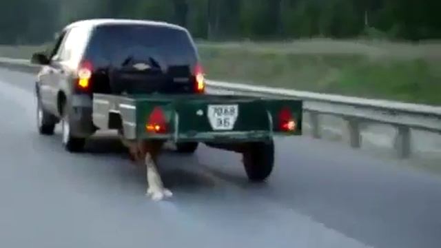 Это Россия, детка! смотреть онлайн