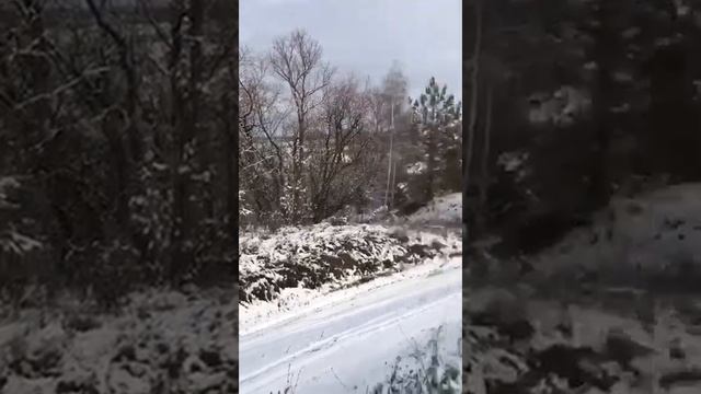 Планета 5 тест на проходимость смотреть онлайн