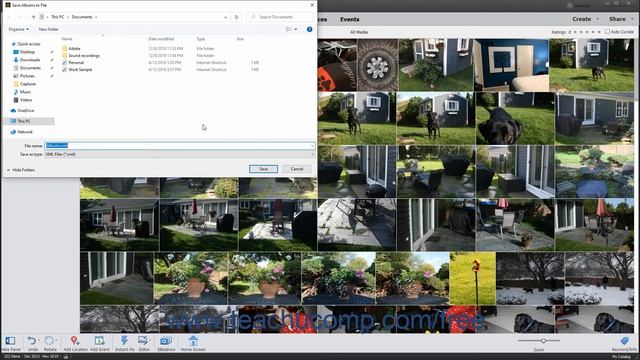 Photoshop Elements 2020 Tutorial Managing Albums Adobe Training смотреть онлайн