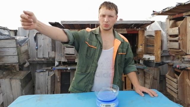 ?КРОЛИКИ?вес КРОЛЬЧАТ??? в10 дней/чем мы кормим своих ПОРОСЯТ???