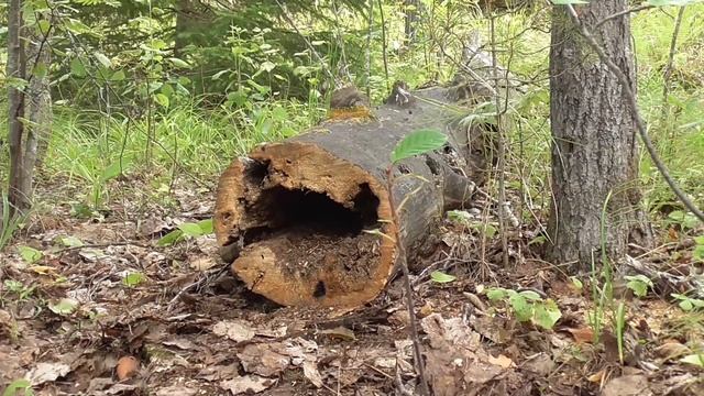 2021 не много релакса.mp4 смотреть онлайн