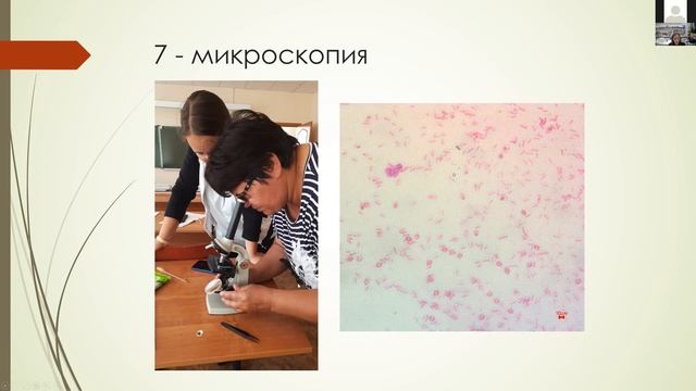 Представление программы "Всероссийский атлас почвенных микроорганизмов" смотреть онлайн