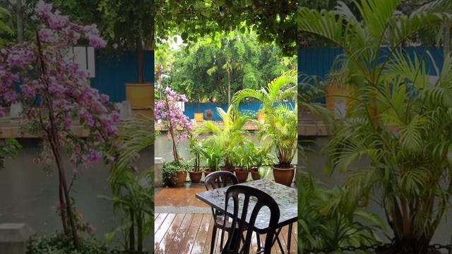 Кулинарная Компания