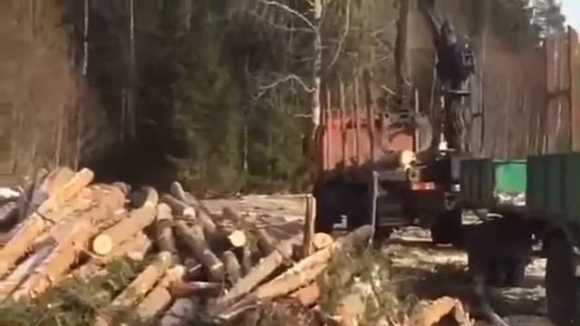 Этап 5: Погрузка леса в грузовик смотреть онлайн